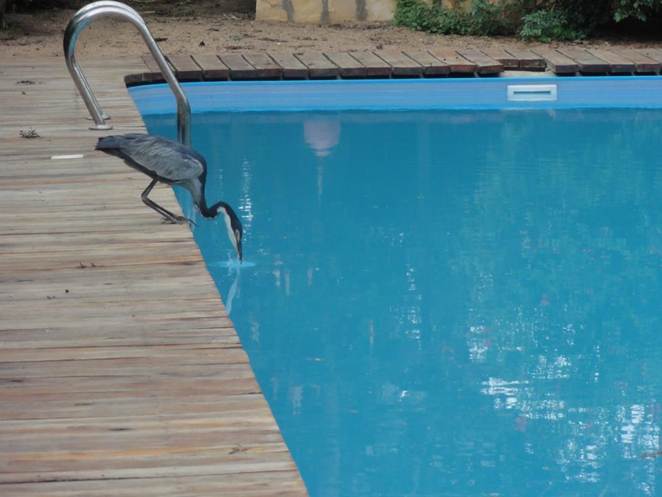 Meru House Lekisilai Arusza Zewnętrze zdjęcie